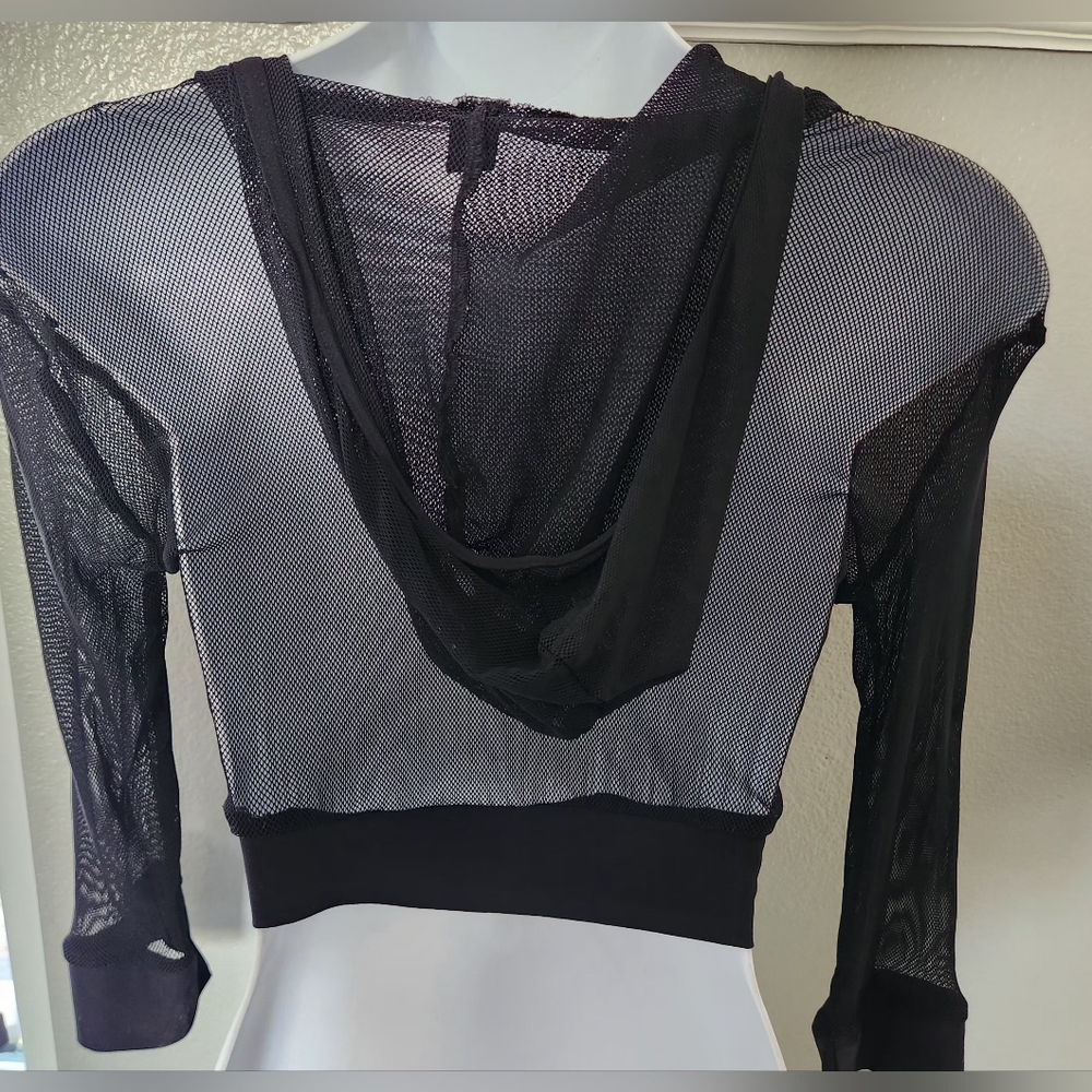 Urban Outfitters Black Sheer Mesh Cropped Zip Hoodie - Picture 2 of 4